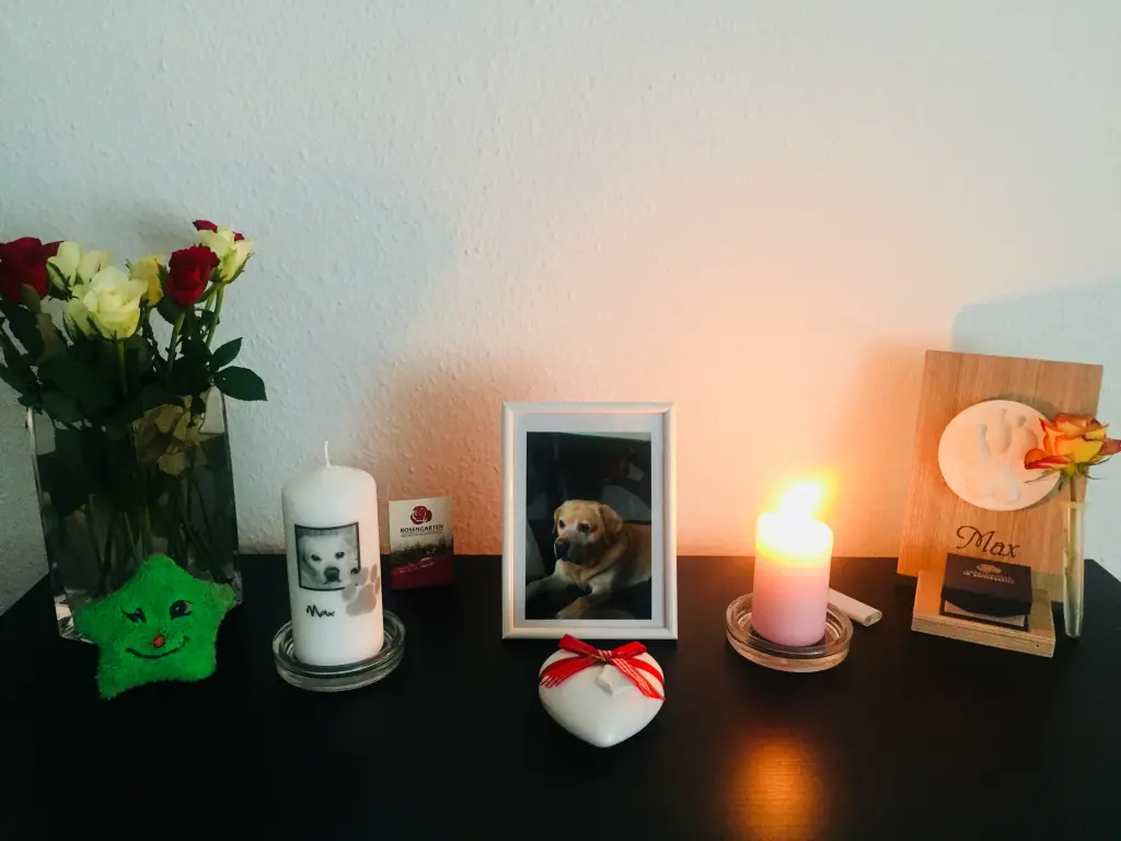 Condolence image of Aleksandra 