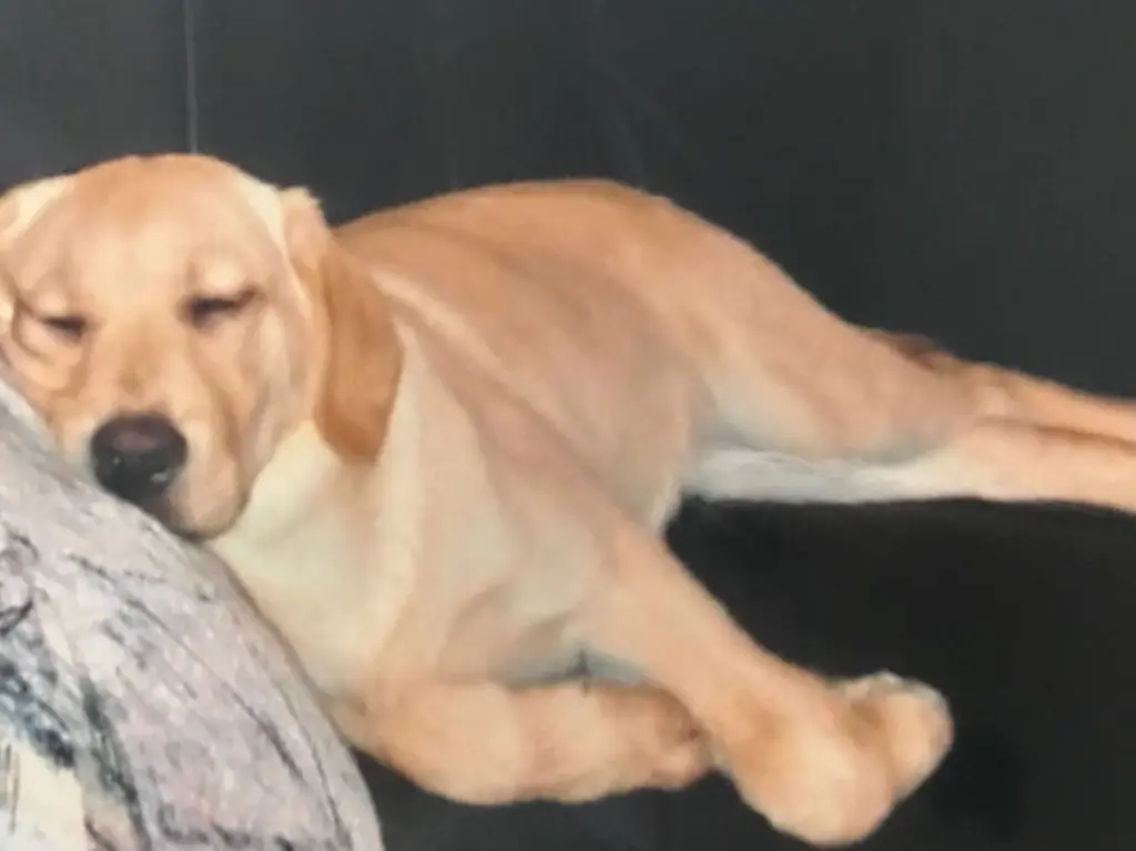 Condolence image of Aleksandra 