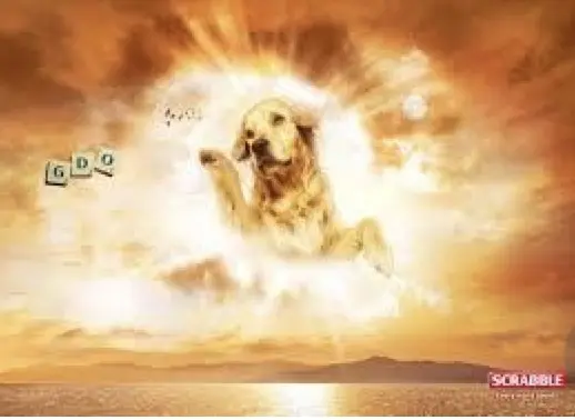 Condolence image of Elzbieta 