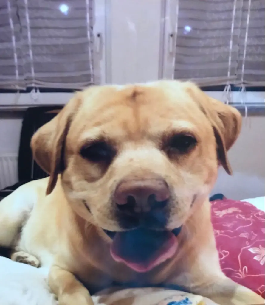 Condolence image of Aleksandra 