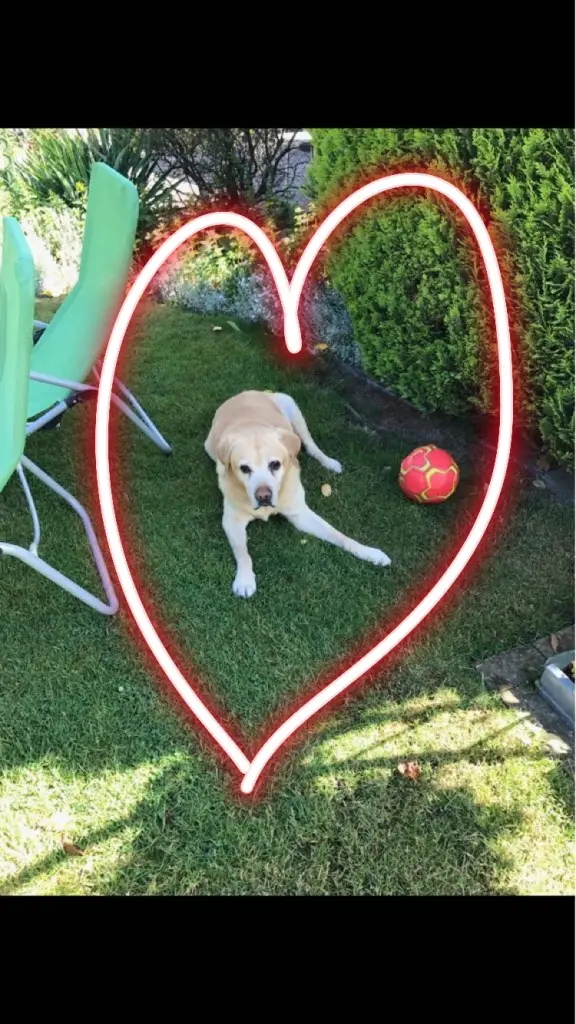 Condolence image of Aleksandra 