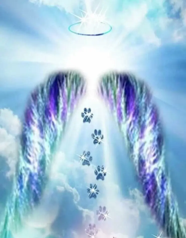 Condolence image of Aleksandra 