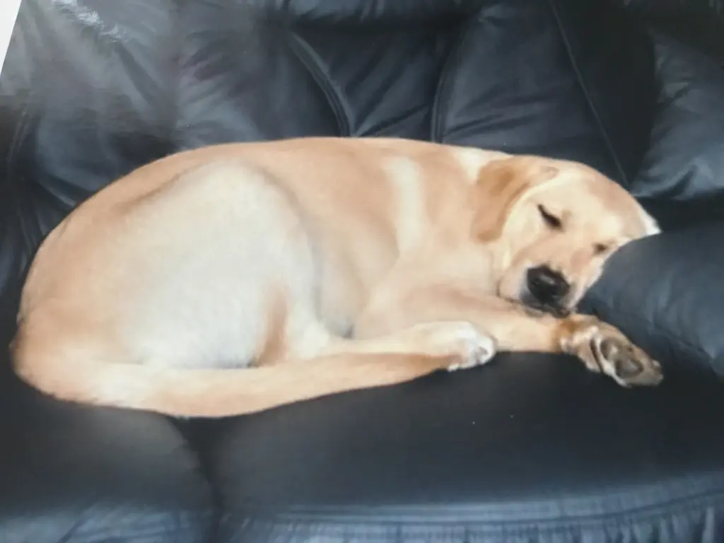 Condolence image of Aleksandra 