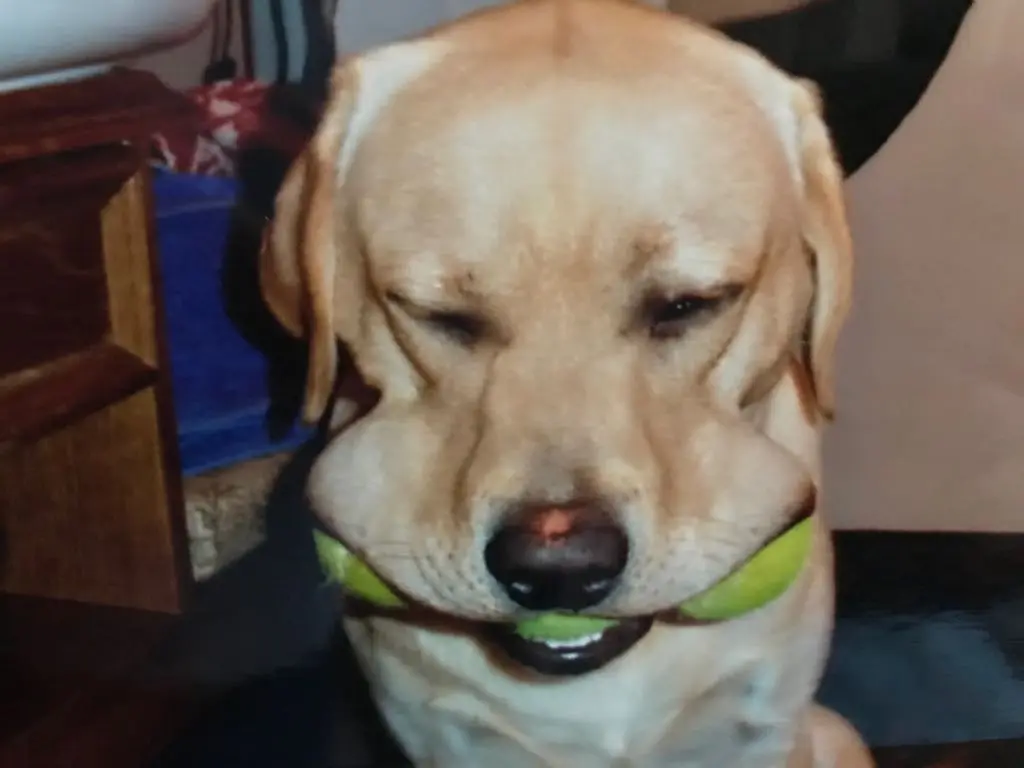 Condolence image of Aleksandra 