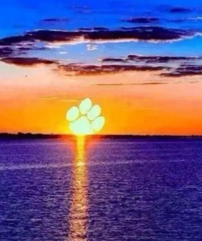 Condolence image of Aleksandra 