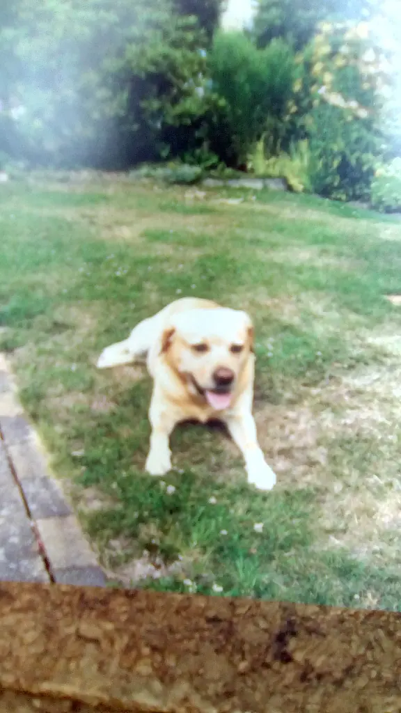 Condolence image of Walentyna 