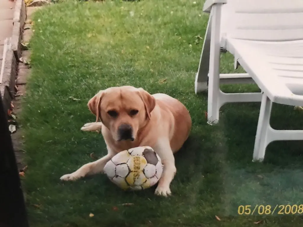 Condolence image of Aleksandra 