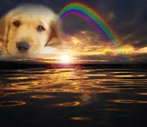 Condolence image of Walentyna Braszkowska 