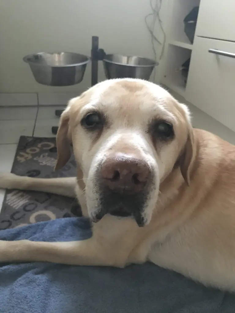 Condolence image of Elzbieta 