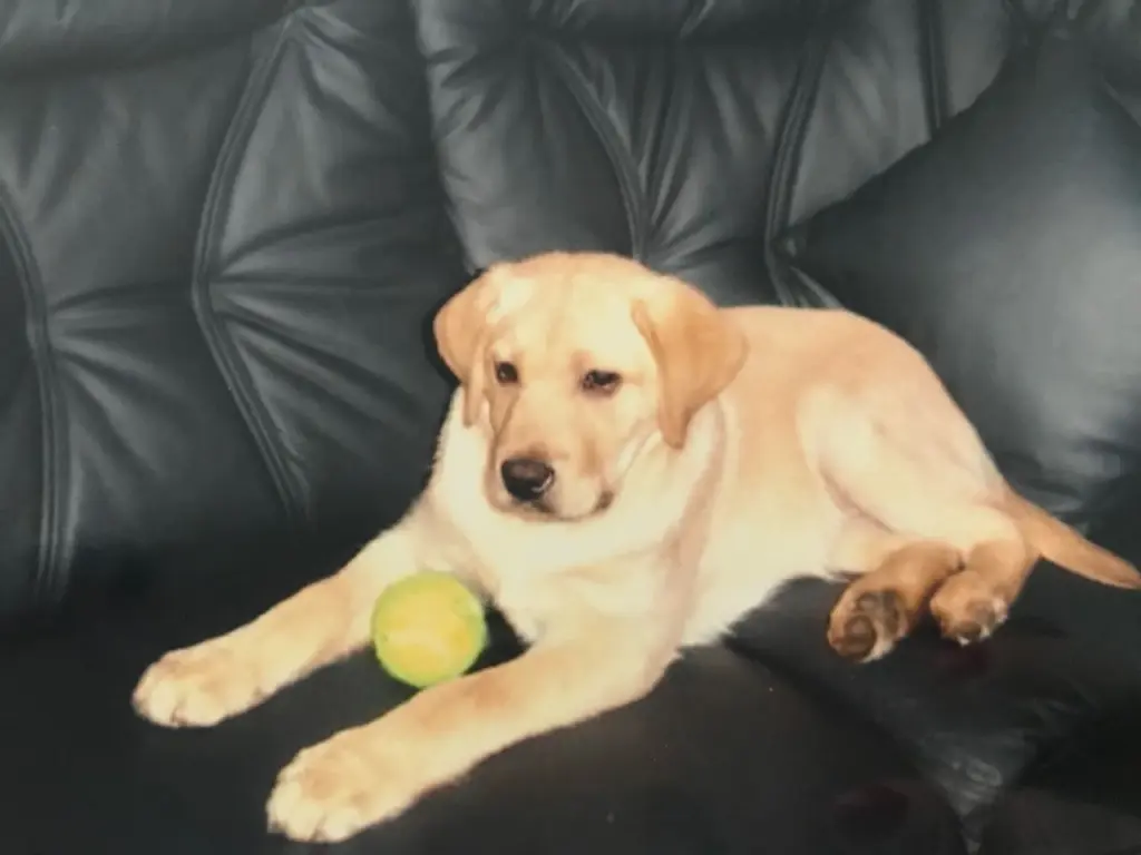 Condolence image of Walentyna 