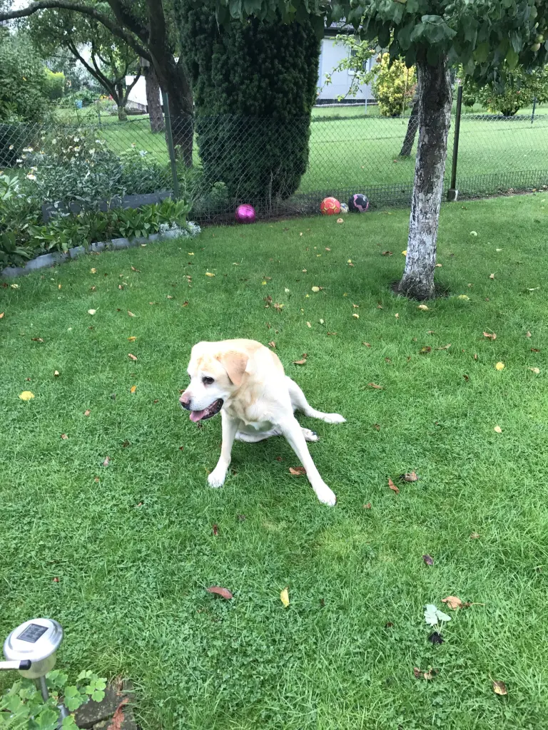 Condolence image of Elzbieta 