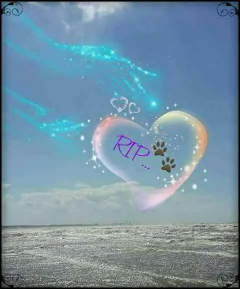 Condolence image of Aleksandra 