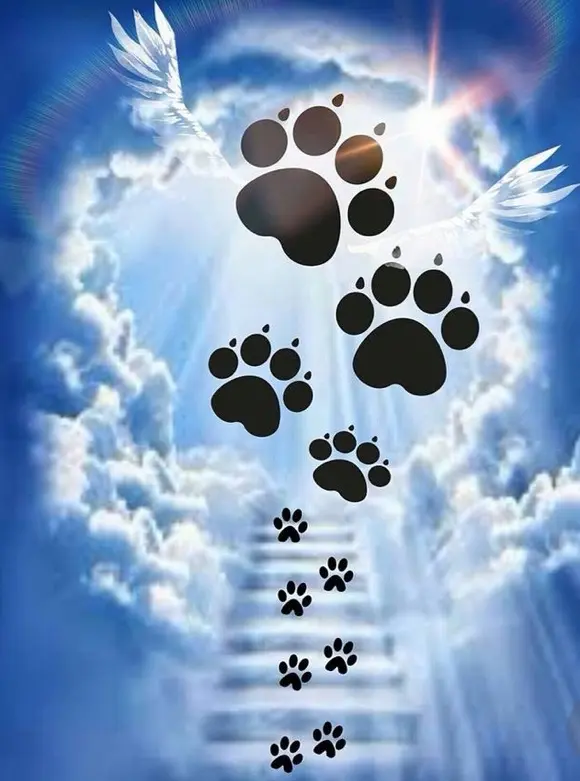 Condolence image of Walentyna 