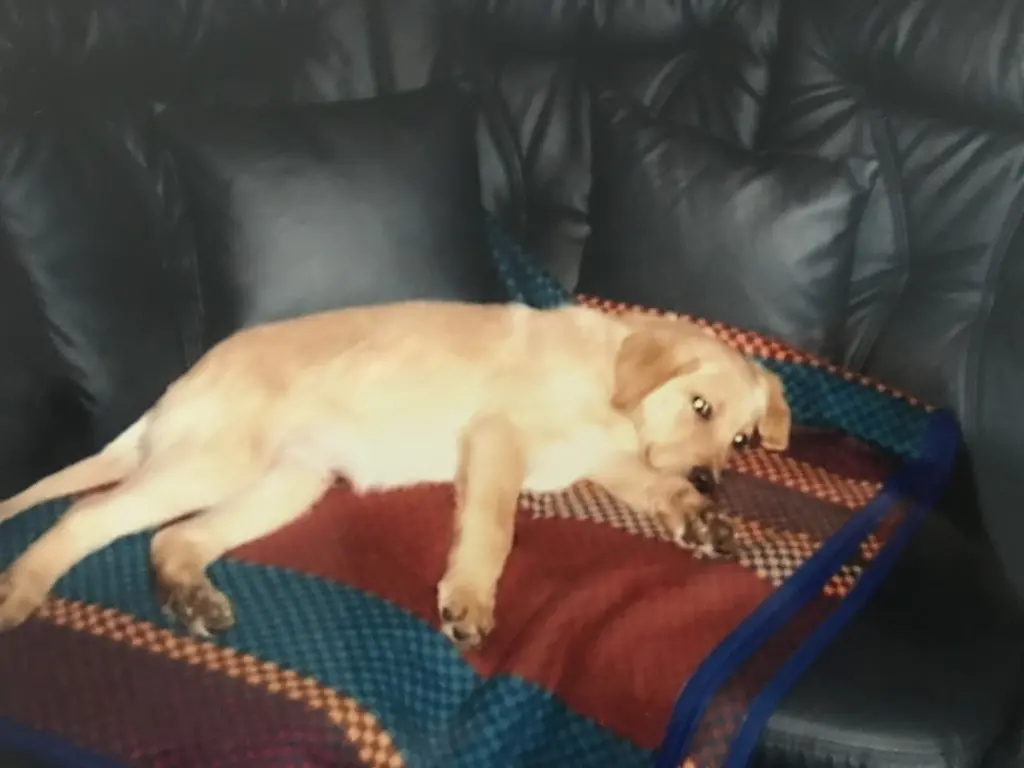 Condolence image of Elzbieta 