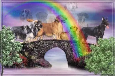 Condolence image of Walentyna 