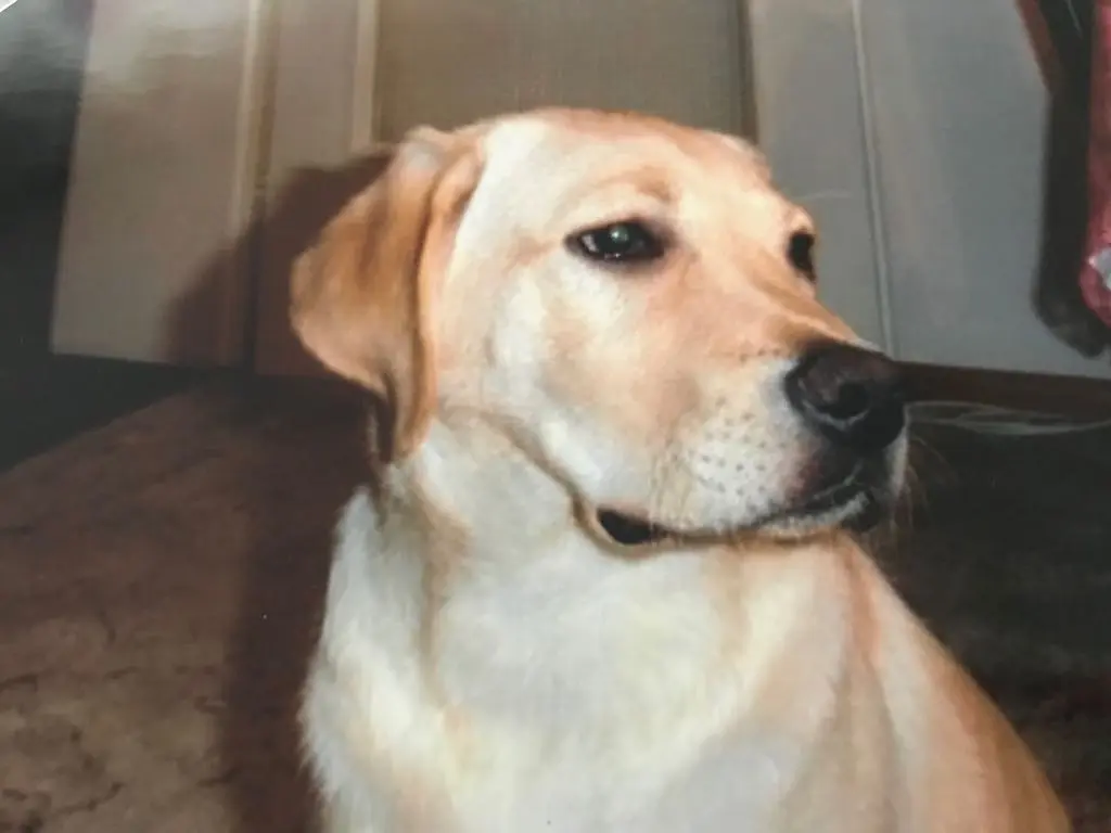 Condolence image of Walentyna 