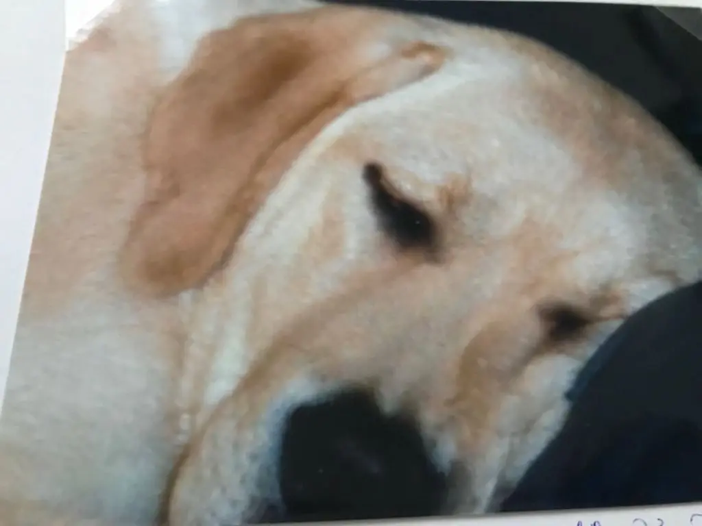 Condolence image of Walentyna 