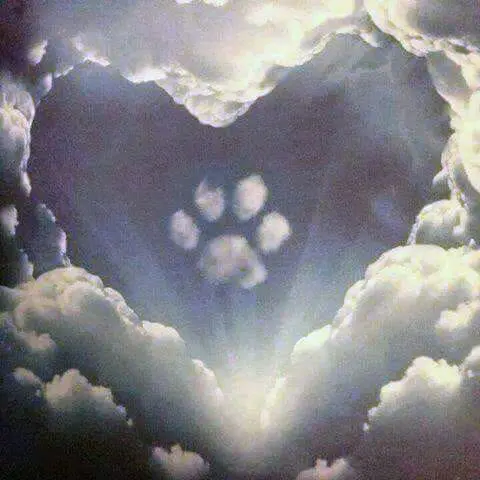 Condolence image of Walentyna 