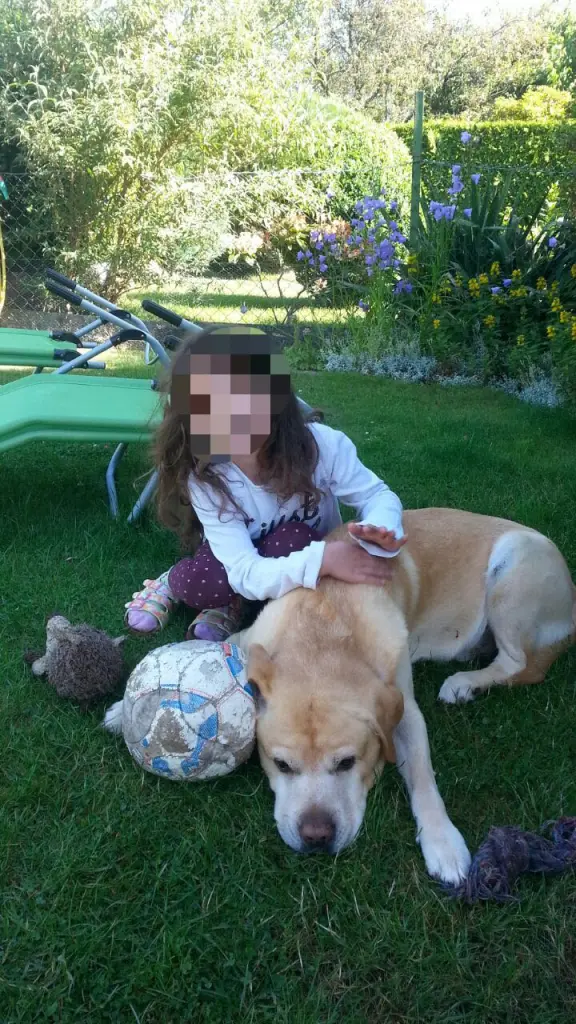 Condolence image of Seyna mit Max im Herzen ❤️❤️❤️