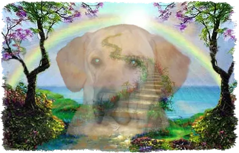 Condolence image of Elzbieta ❤️❤️❤️❤️