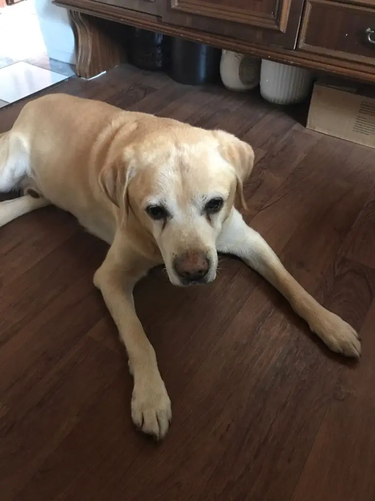 Condolence image of Walentyna ❤️❤️❤️❤️❤️