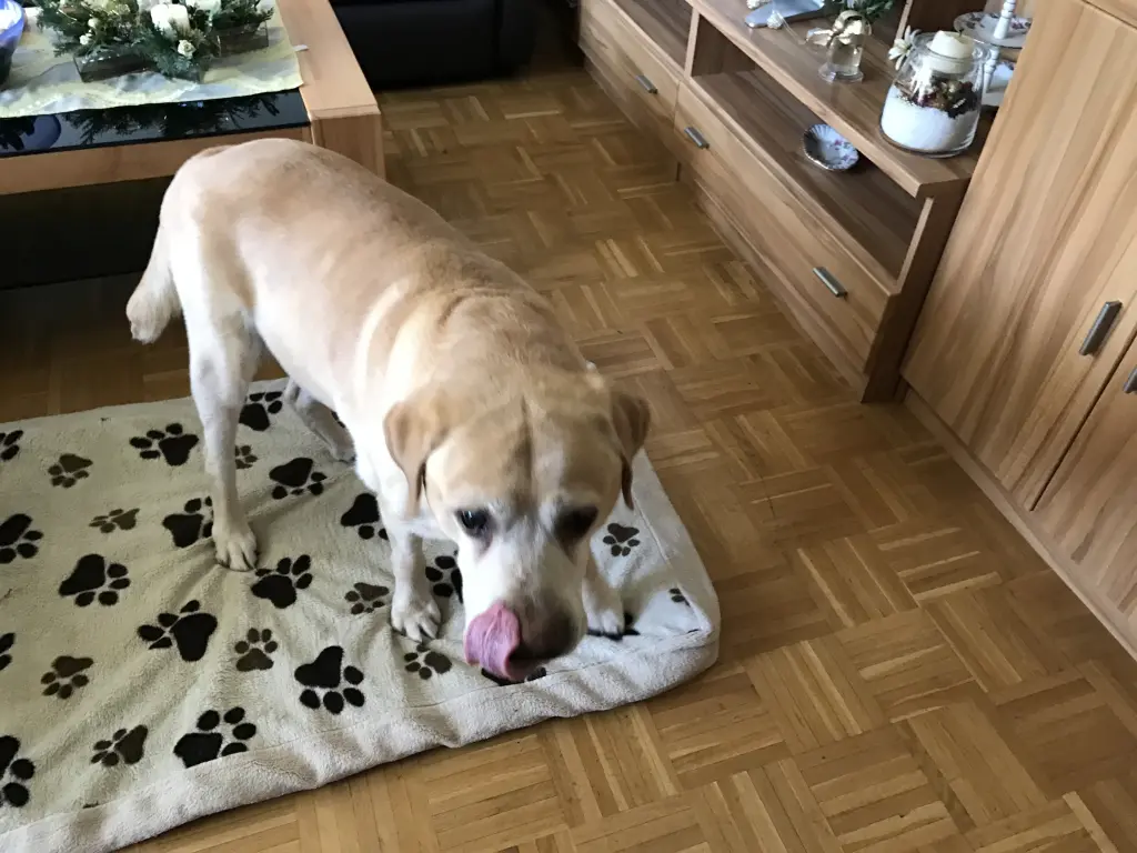 Condolence image of Elzbieta ❤️❤️❤️