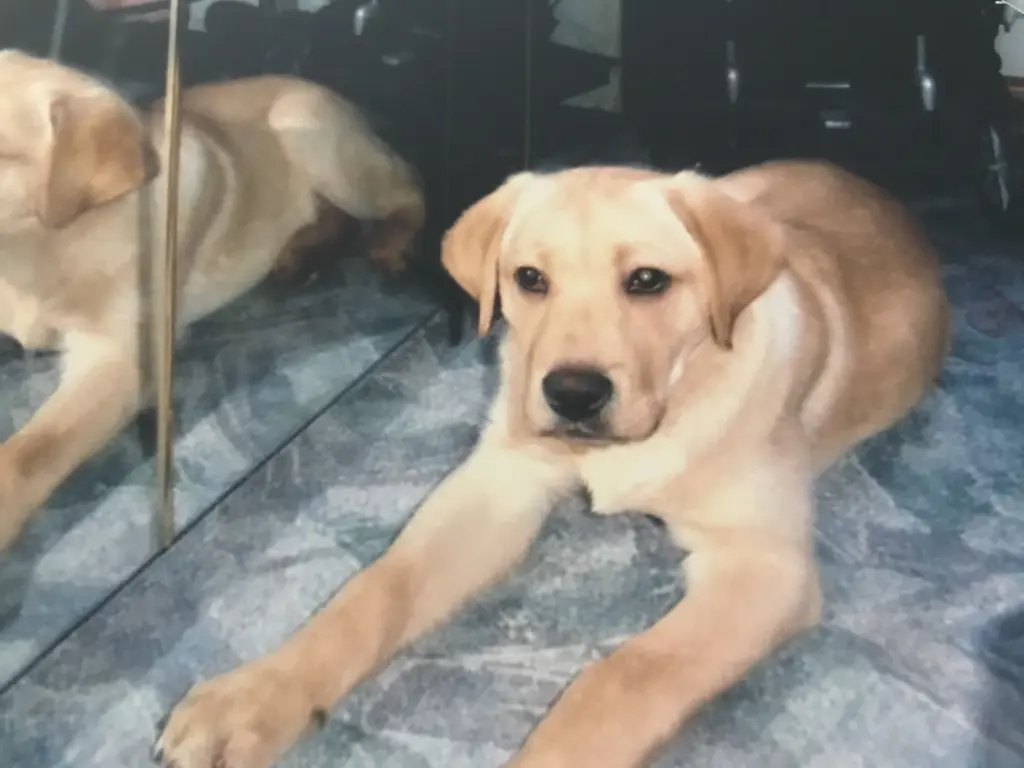 Condolence image of Elzbieta ❤️♥️♥️❤️❤️