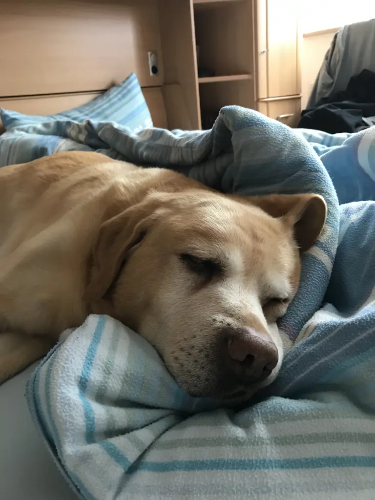 Condolence image of Elzbieta ❤️♥️❤️❤️❤️❤️❤️❤️❤️♥️♥️♥️♥️❤️❤️❤️❤️♥️♥️♥️❤️