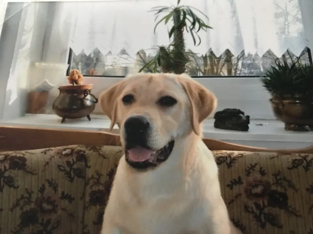 Condolence image of Elzbieta ❤️❤️❤️❤️❤️❤️❤️❤️❤️❤️❤️❤️❤️❤️❤️❤️❤️❤️❤️❤️❤️❤️❤️❤️❤️❤️❤️❤️