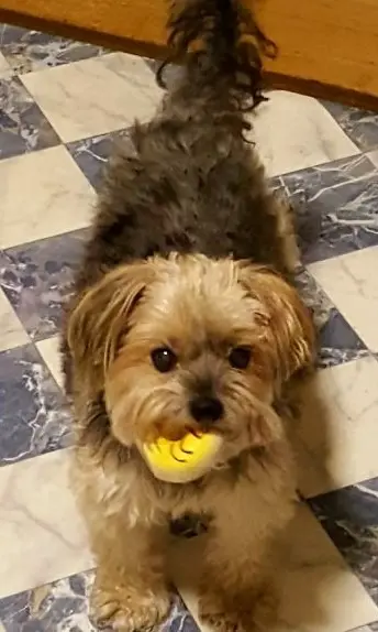 Andachtsbild von monic & amy