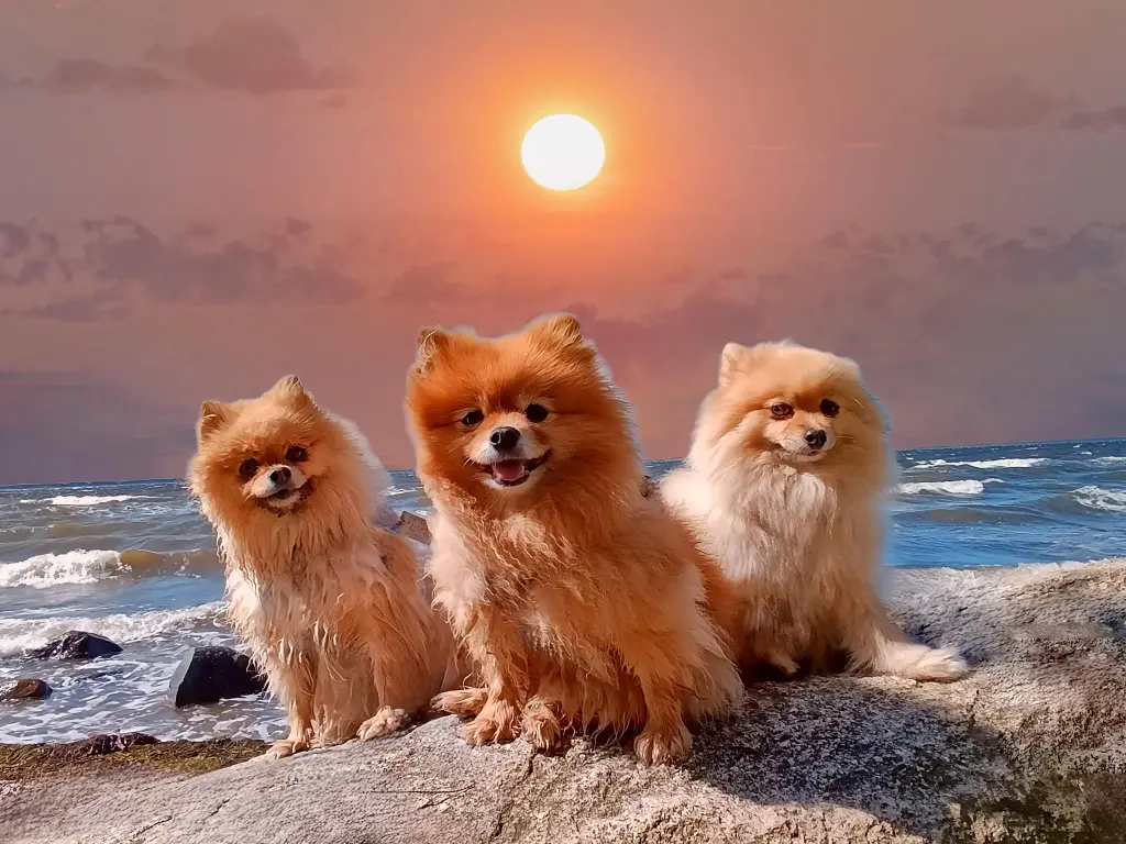 Andachtsbild von Miriam Kröner