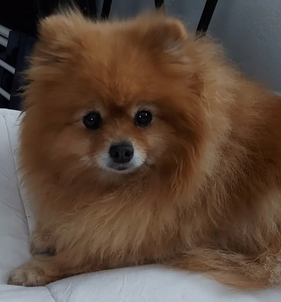 Andachtsbild von Katrin R.