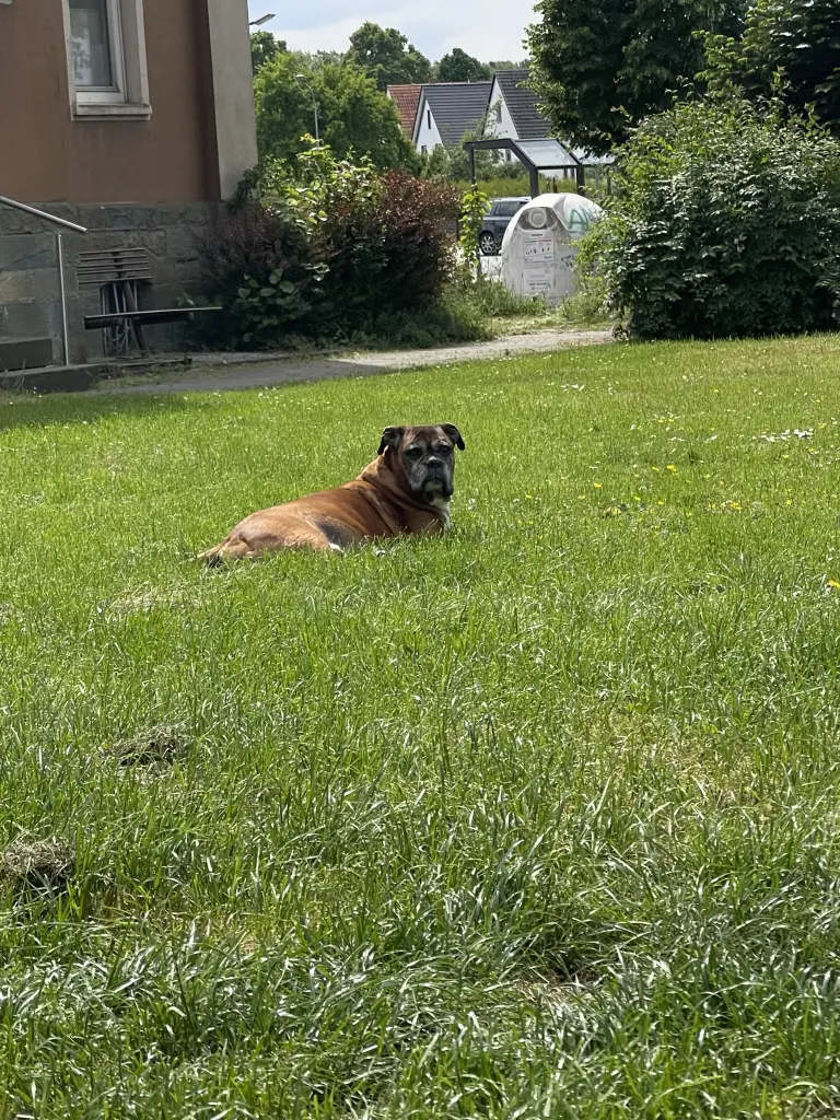 Andachtsbild von Sydney Heuser