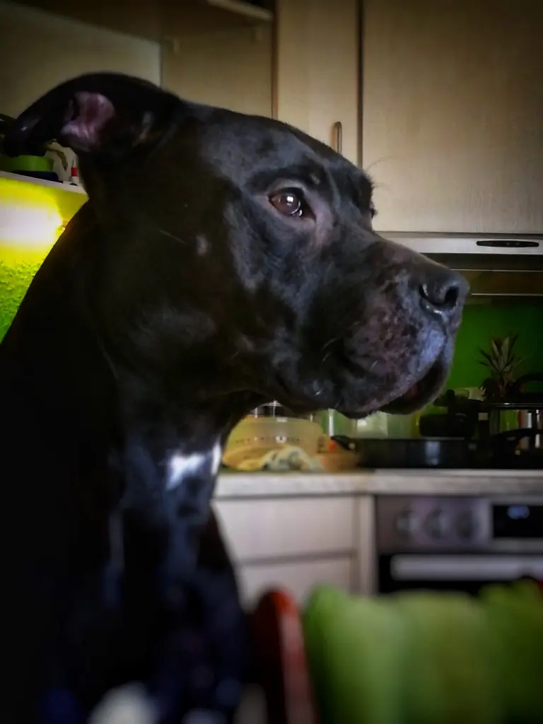 Andachtsbild von Sarah und Jens