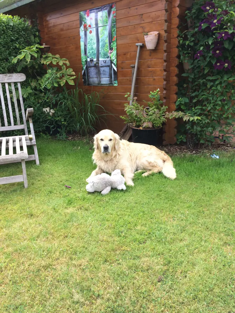 Andachtsbild von Andy ❤️ und Piet ❤️❤️