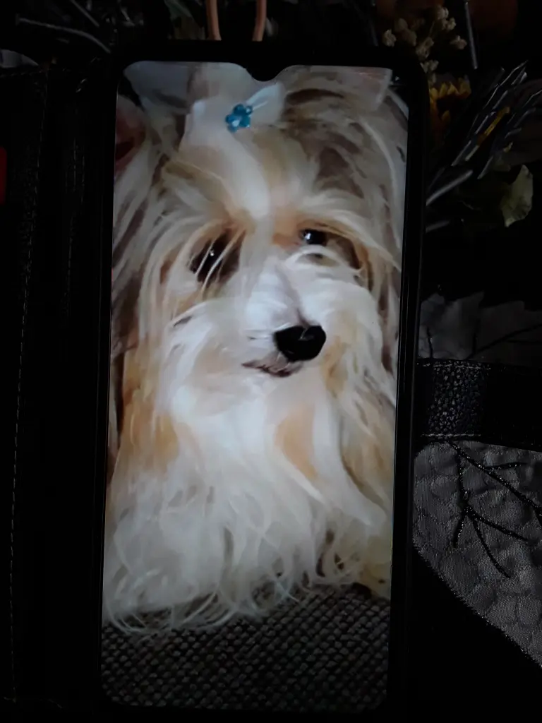 Andachtsbild von Konny mit Piccolino Fly tief im Herzen