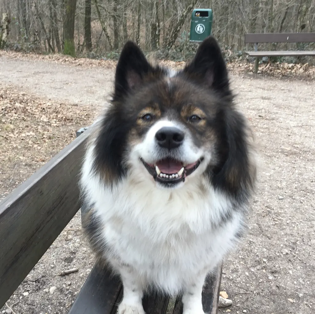 Image from Rusty