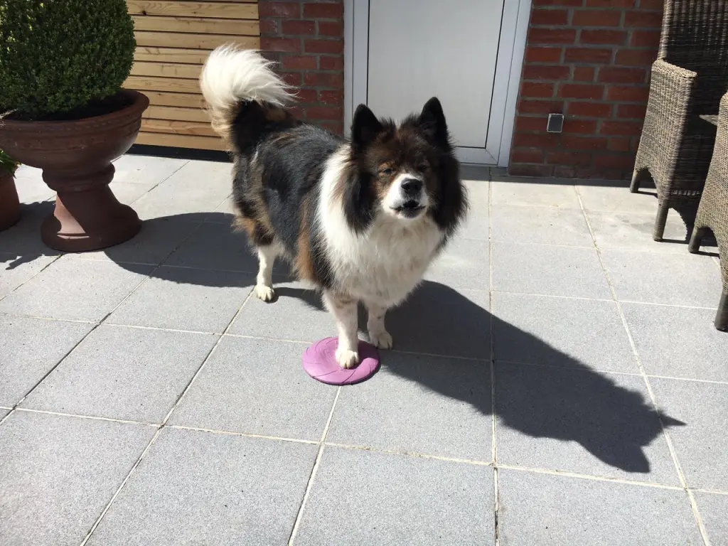Image from Rusty