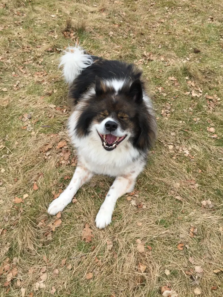 Image from Rusty