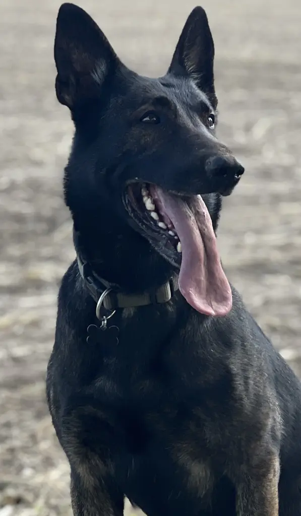 Andachtsbild von Karin