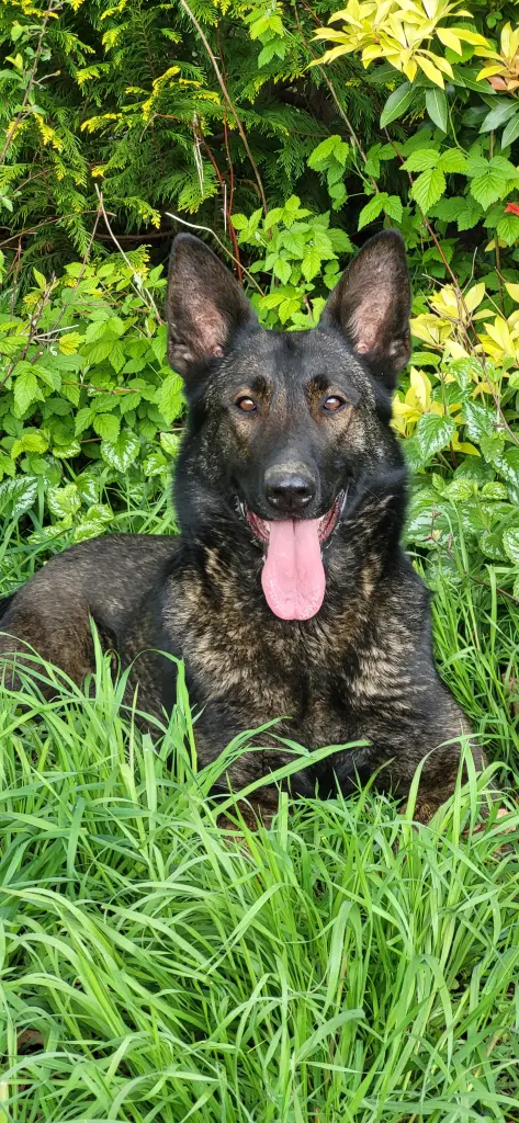 Andachtsbild von Nicole