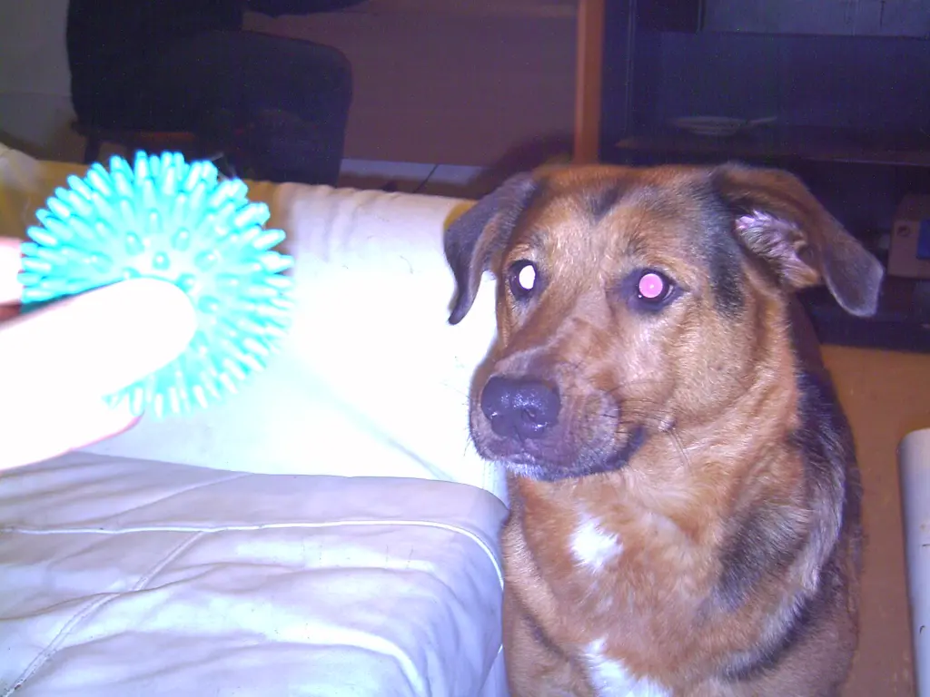 Bild von Fenja