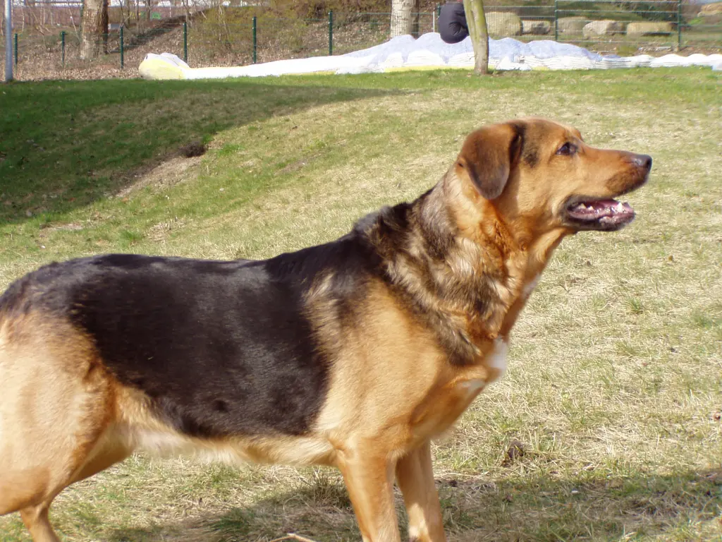 Bild von Fenja