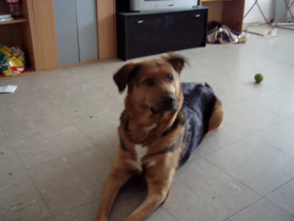 Bild von Fenja