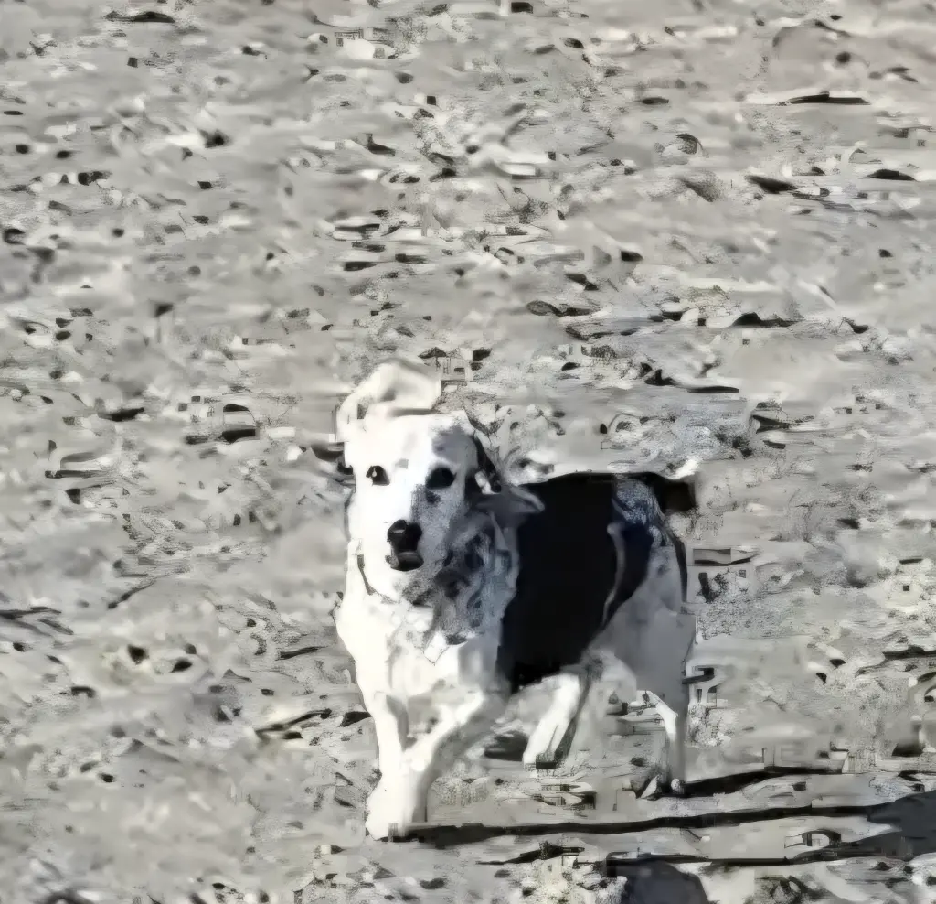 Andachtsbild von Britta