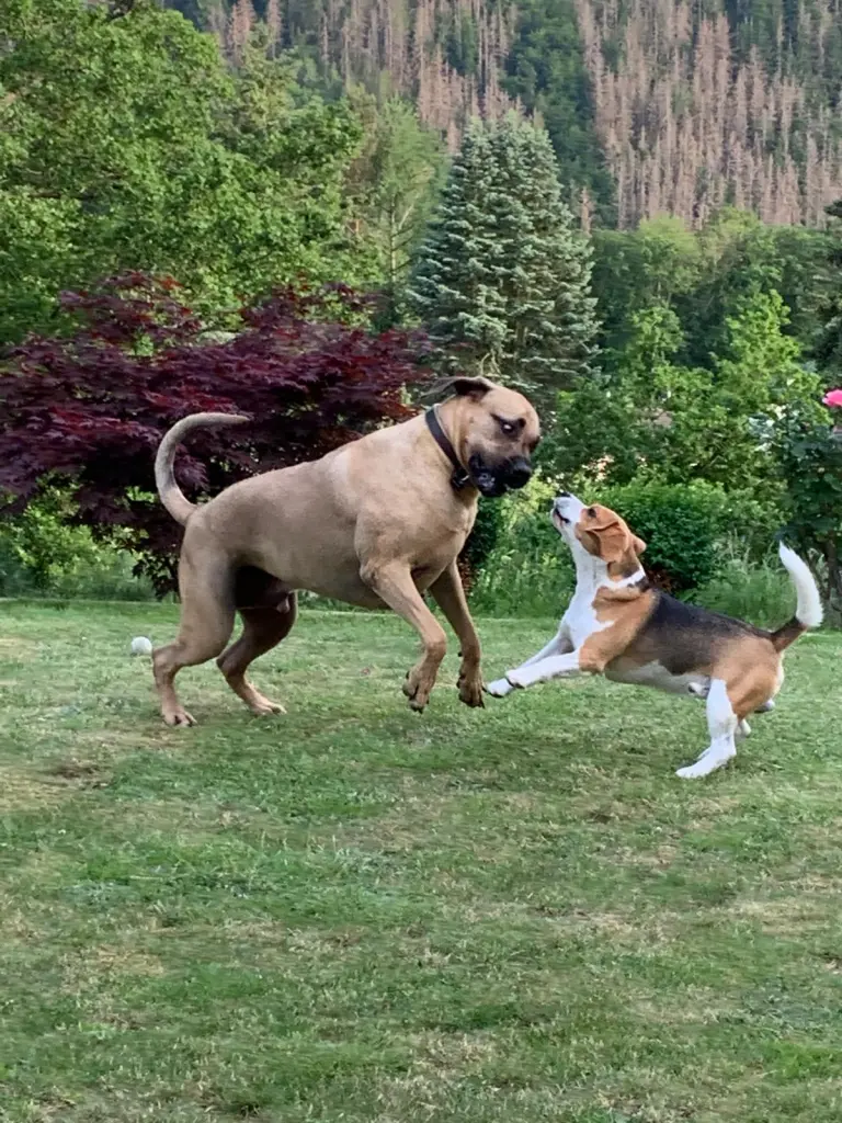 Andachtsbild von Lars Steffen