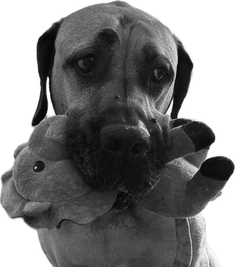 Andachtsbild von Chris