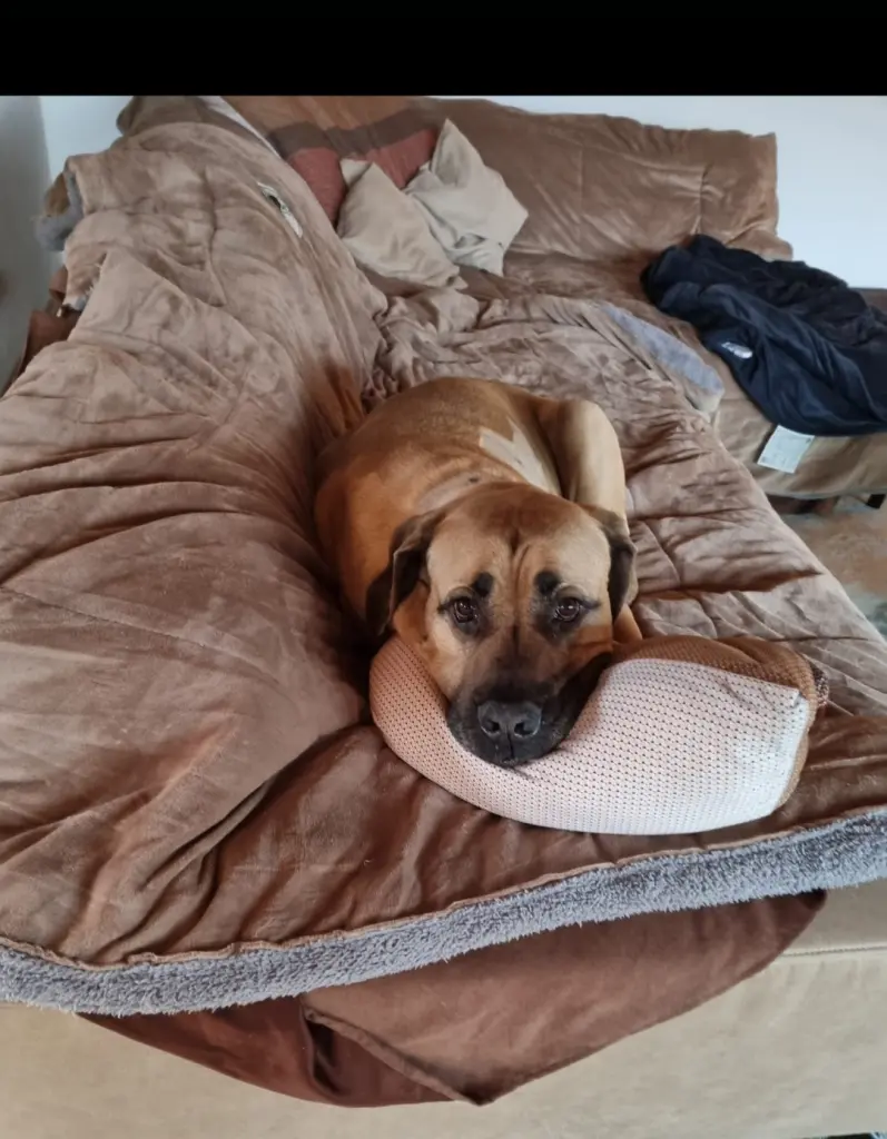 Andachtsbild von Simone Book