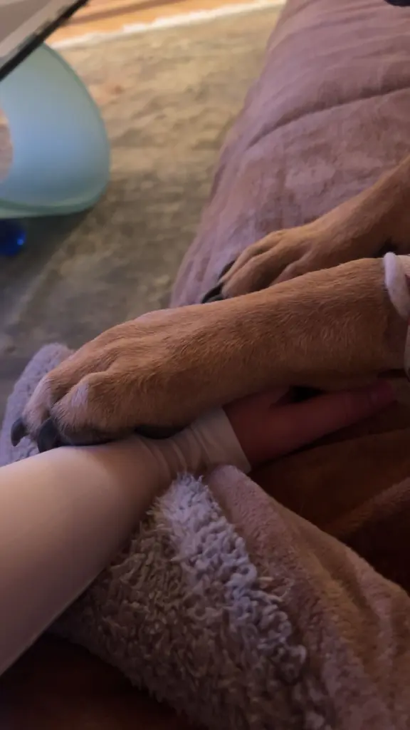 Andachtsbild von lea