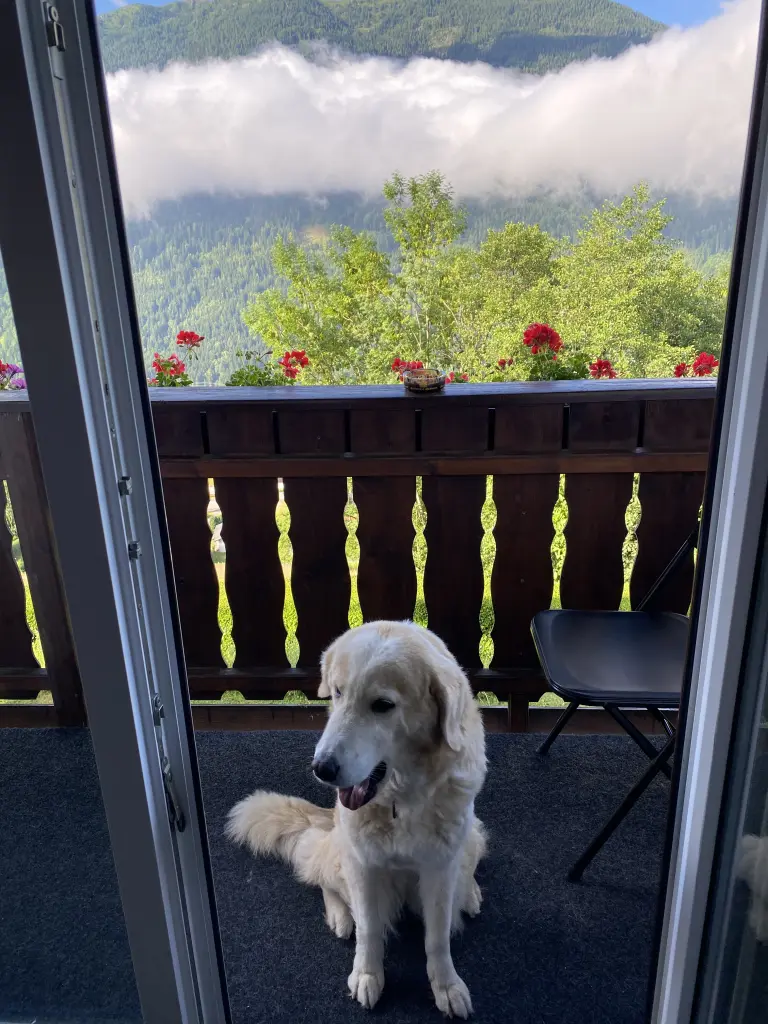 Andachtsbild von Gundula